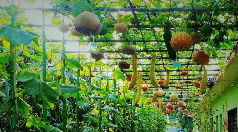 202303141105357365d502bcde4cad9c203bc4915e24e6 202303141105357365d502bcde4cad9c203bc4915e24e6