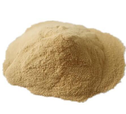 2023032015061363c3a066f345412988c50b639fb34faf 2023032015061363c3a066f345412988c50b639fb34faf