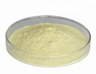 20230322141437cfd20828d8994cc99aa2debd0364abc5-1 20230322141437cfd20828d8994cc99aa2debd0364abc5-1