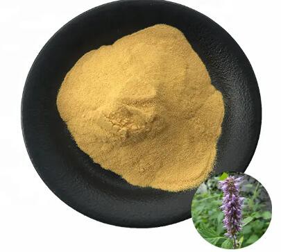 202303271542540e6c5bf8ffe3497d921a6cf963a2ac5c 202303271542540e6c5bf8ffe3497d921a6cf963a2ac5c