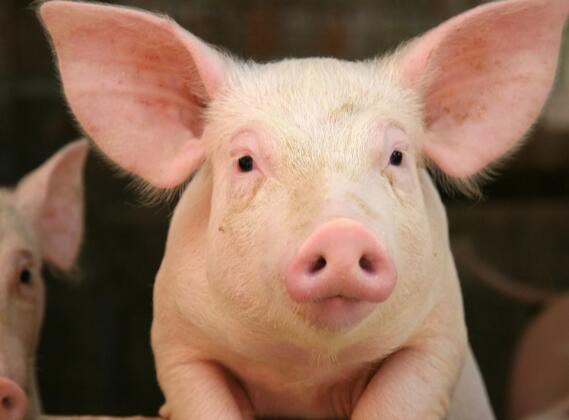 2023032715433973093a1f43194fbfb855b3a791b4d051 2023032715433973093a1f43194fbfb855b3a791b4d051