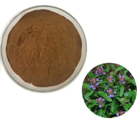 202304121553481342f2daa2b54fe99a37fa839cb87e3c 202304121553481342f2daa2b54fe99a37fa839cb87e3c