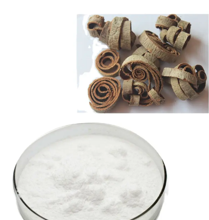 20230518151656ab69e9bf991040b695822a412666aeb2 20230518151656ab69e9bf991040b695822a412666aeb2