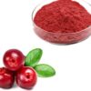 cranberry-powder43385769141 Cranberry Powder43385769141