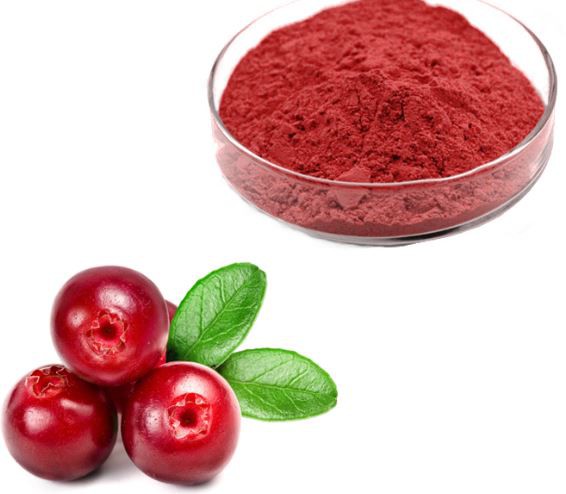 cranberry-powder43385769141 Cranberry Powder43385769141