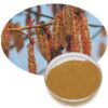 poplar-flower-extract59146985370 Poplar Flower Extract59146985370
