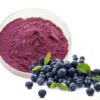 blueberry-juice-powder57351219184 Blueberry Juice Powder57351219184